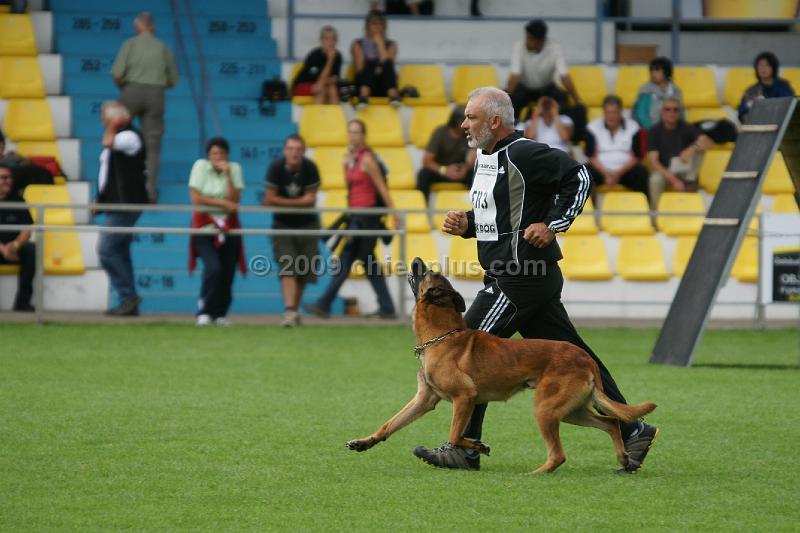 VIP des Loups Mutins937.JPG